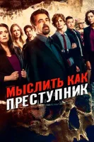 Мыслить как преступник смотреть онлайн сериал 1-15 сезон